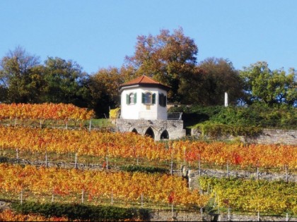 Photo: Weinbau Pavillon